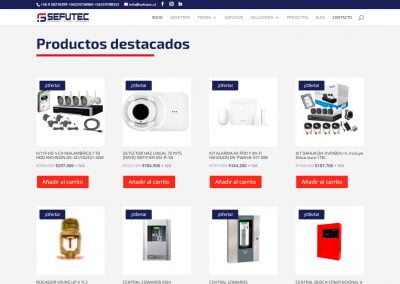 2 sefutec Domina los resultados de búsqueda con una web diseñada para vender.
