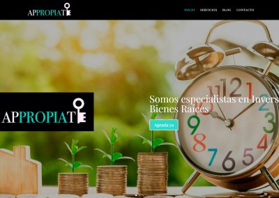 APROPPIATE1 Domina los resultados de búsqueda con una web diseñada para vender.