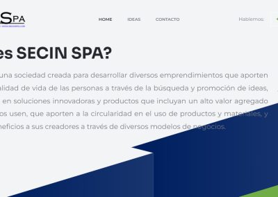 secin1 Páginas Web Ecommerce, Branding y Campañas de Marketing Digital